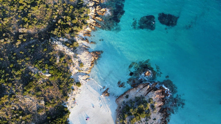 Carnivore Retreat 2025 - Sardinien