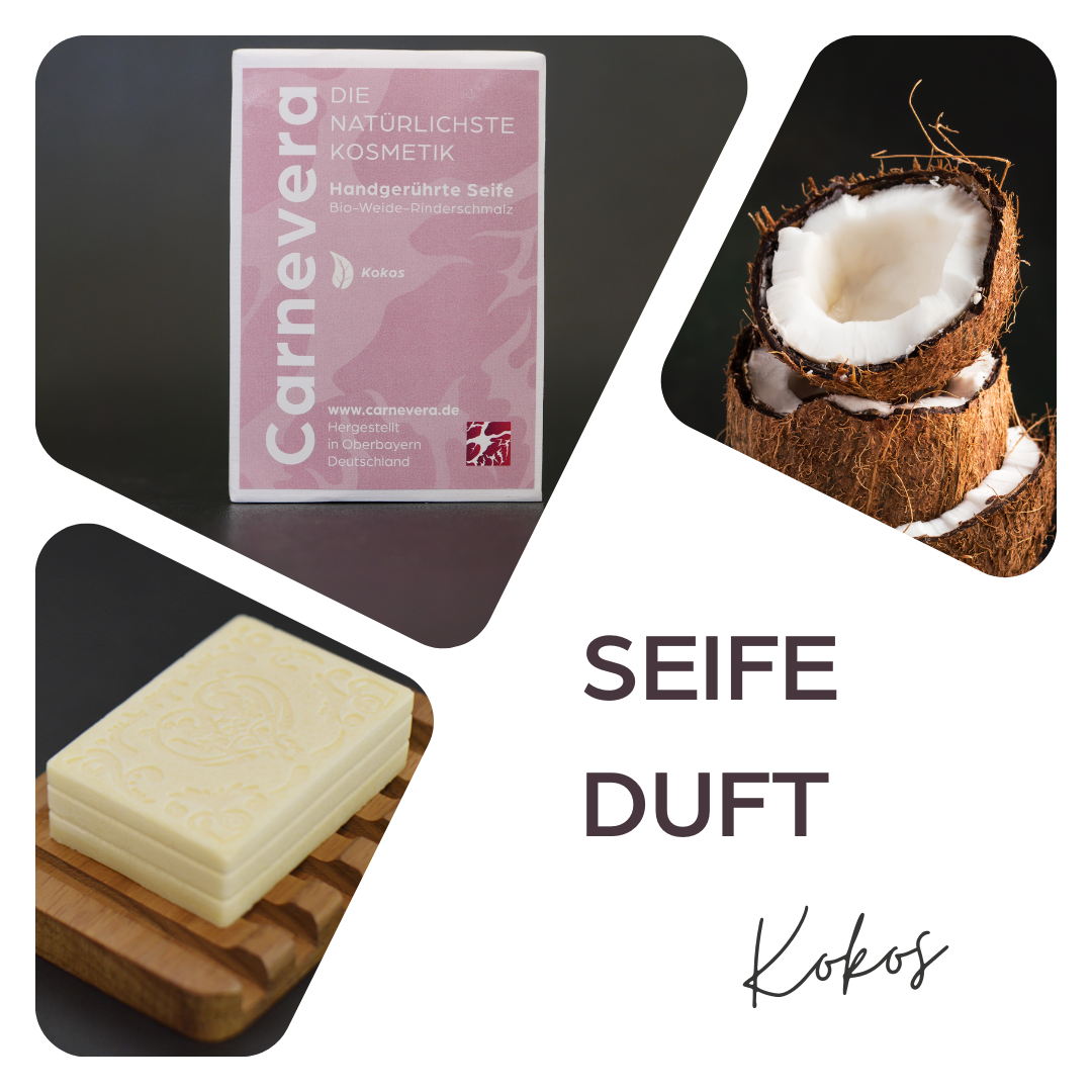 Tallow Seife Kokos
