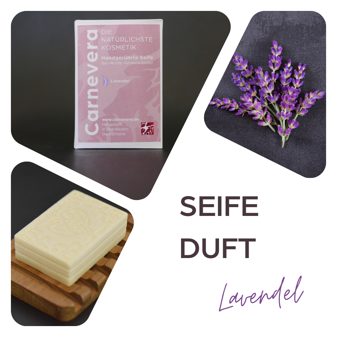 Tallow Seife Lavendel