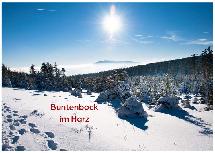 Schneelandschaft mit Sonnenschein