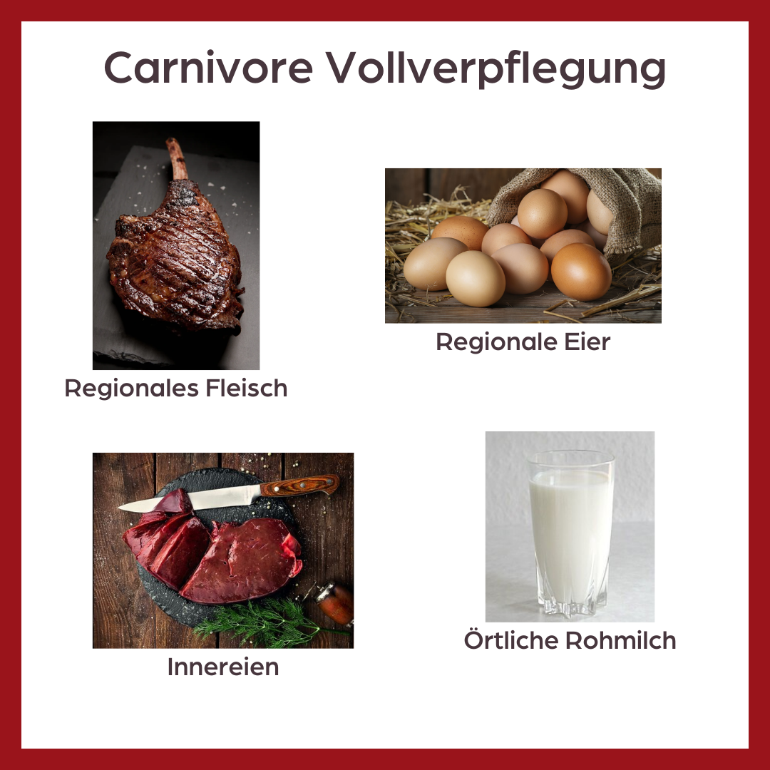 Junge Carnivoren Treffen Warteliste